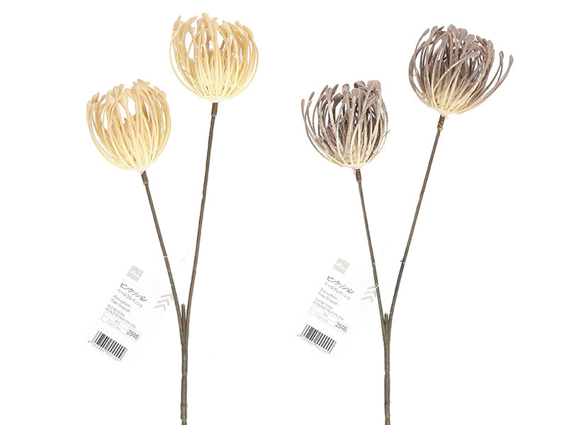 Pincushion (Pale Grayish)