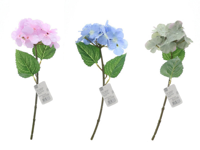 Short Hydrangea (Nuance)