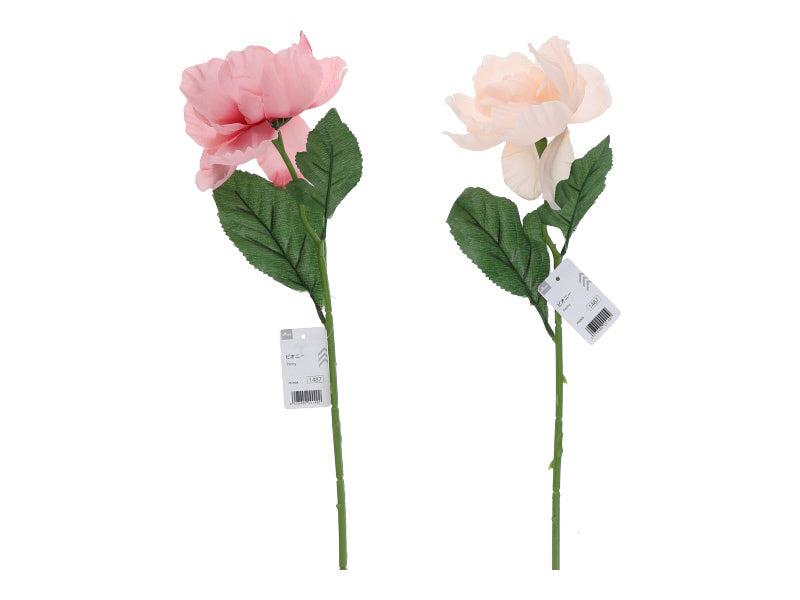 Peony