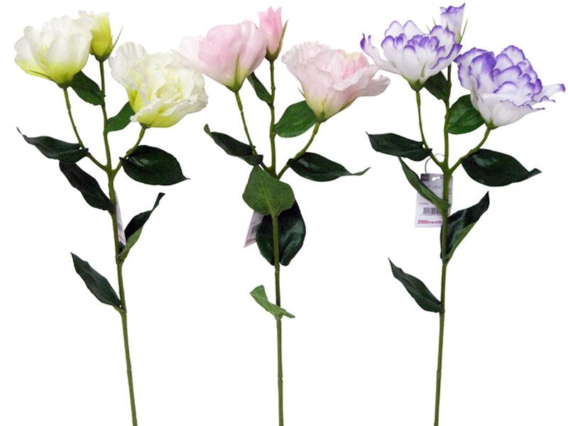 Lisianthus