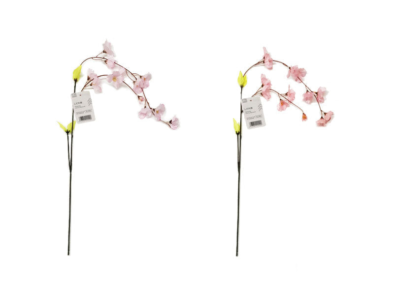 Weeping Cherry Blossom