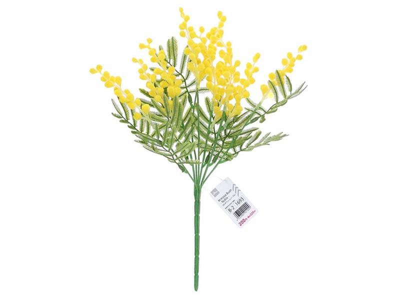 Mimosa Bush (Noble)