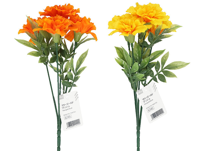 Marigold Bush