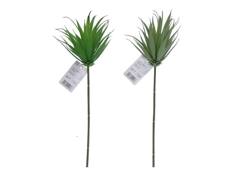 Short Green Dracaena