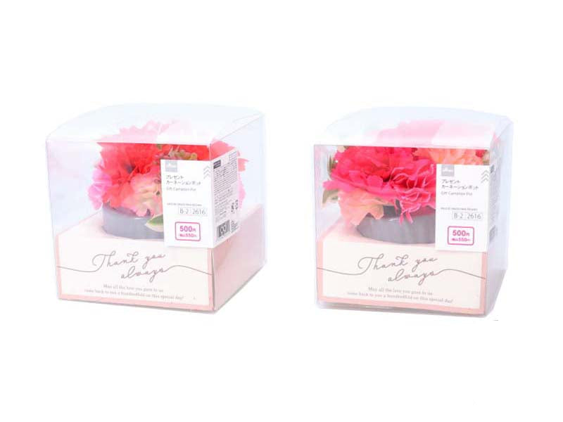 Gift Carnation Pot