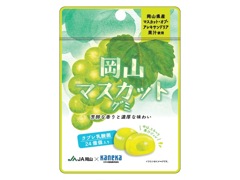 Kaneka JA Okayama Muscat Gummy with Lactic Acid Bacteria 40g