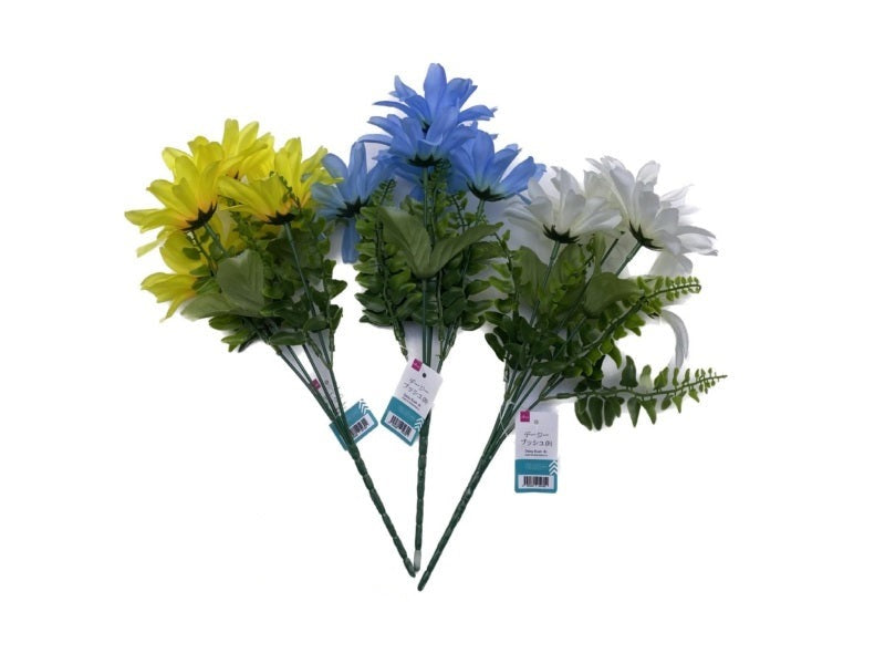 Daisy Bush (B)