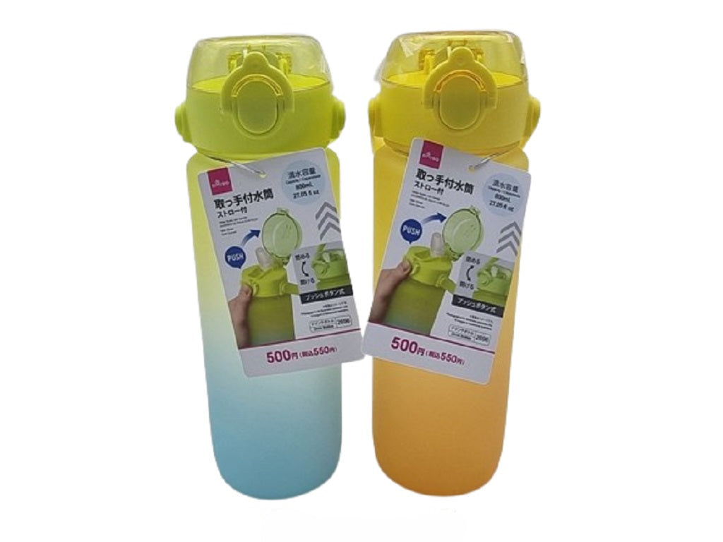 Water Bottle with Handle