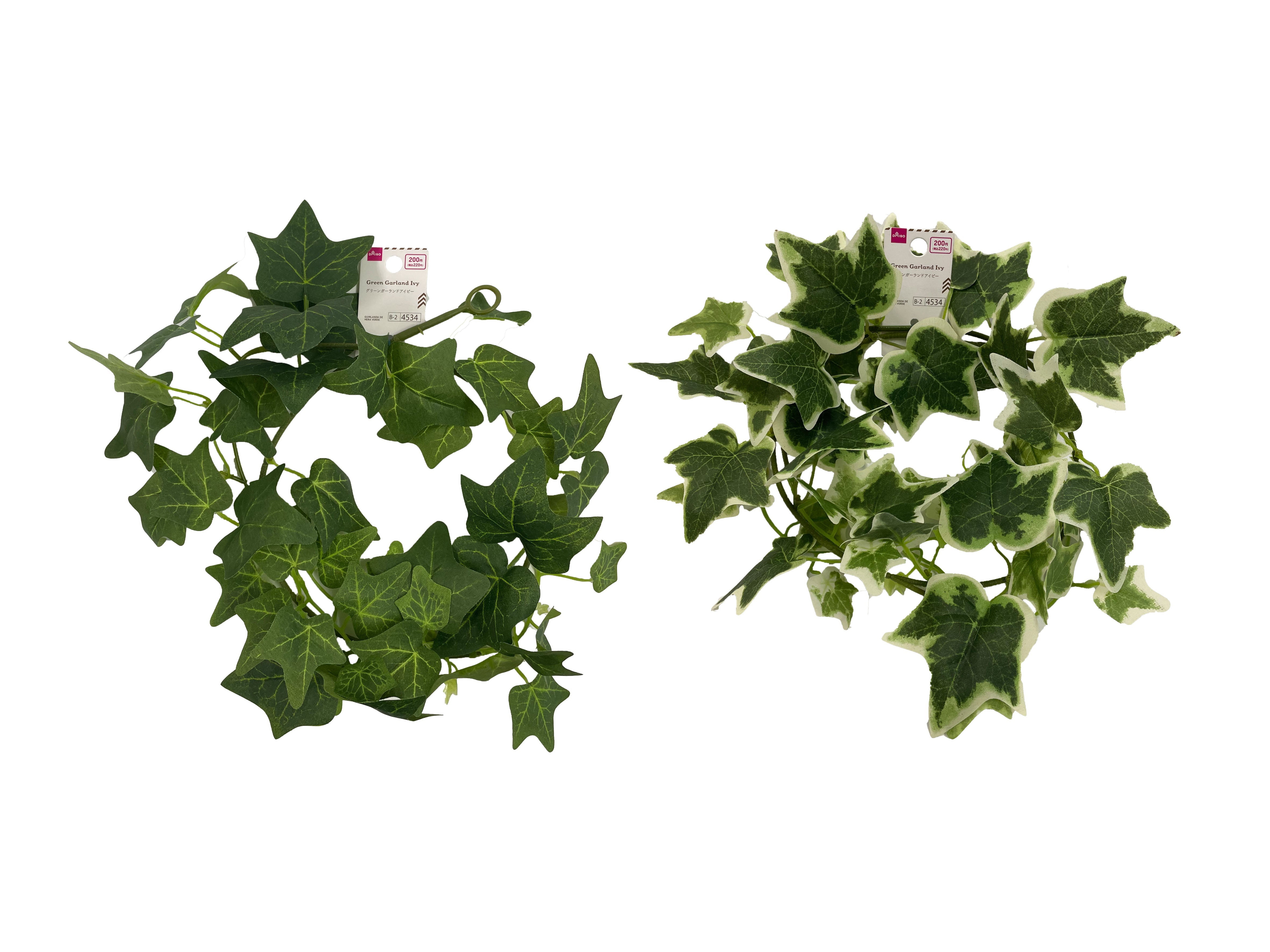 Green Garland Ivy