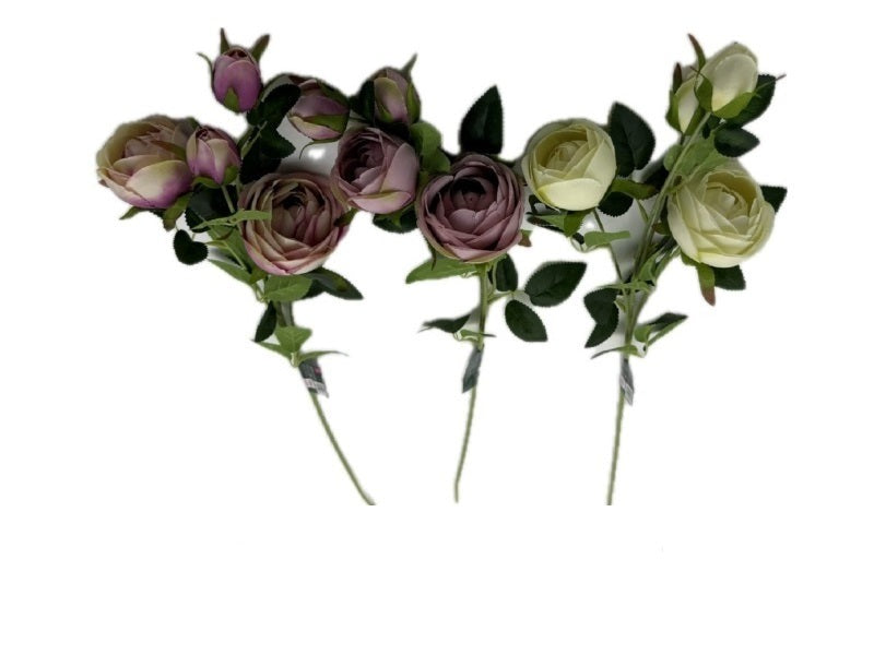 Catalina Rose (Vintage Style)