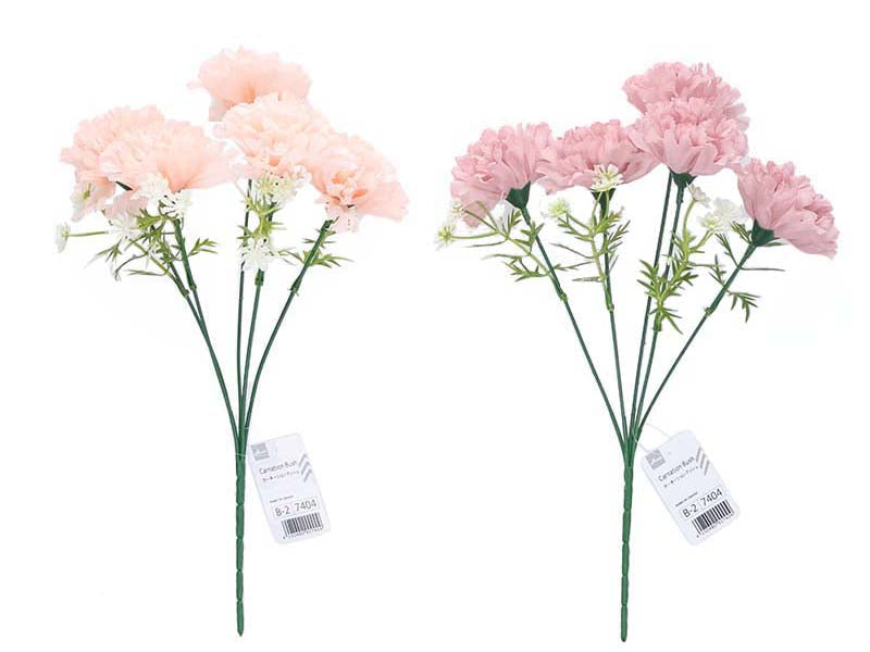 Carnation Bush