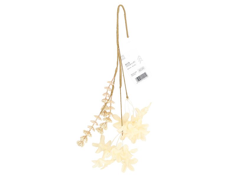 Nerine (Rustic)