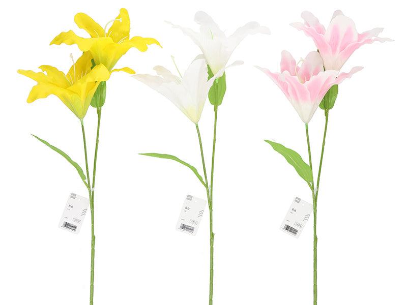Lily