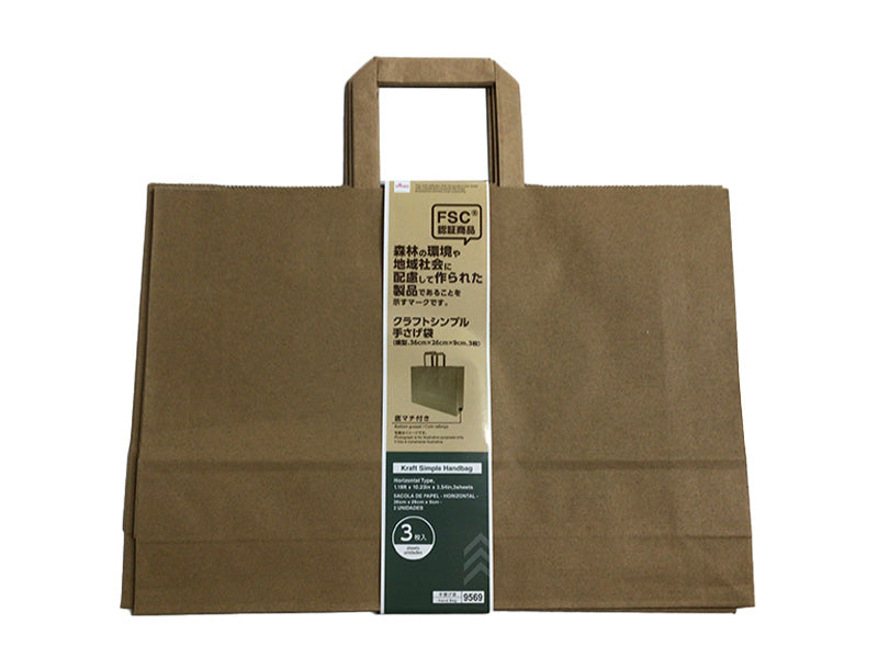 Craft Simple Handbag (Horizontal, 3 Pieces)