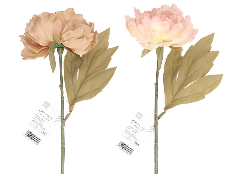 Peony (Short, Pale Grayish)