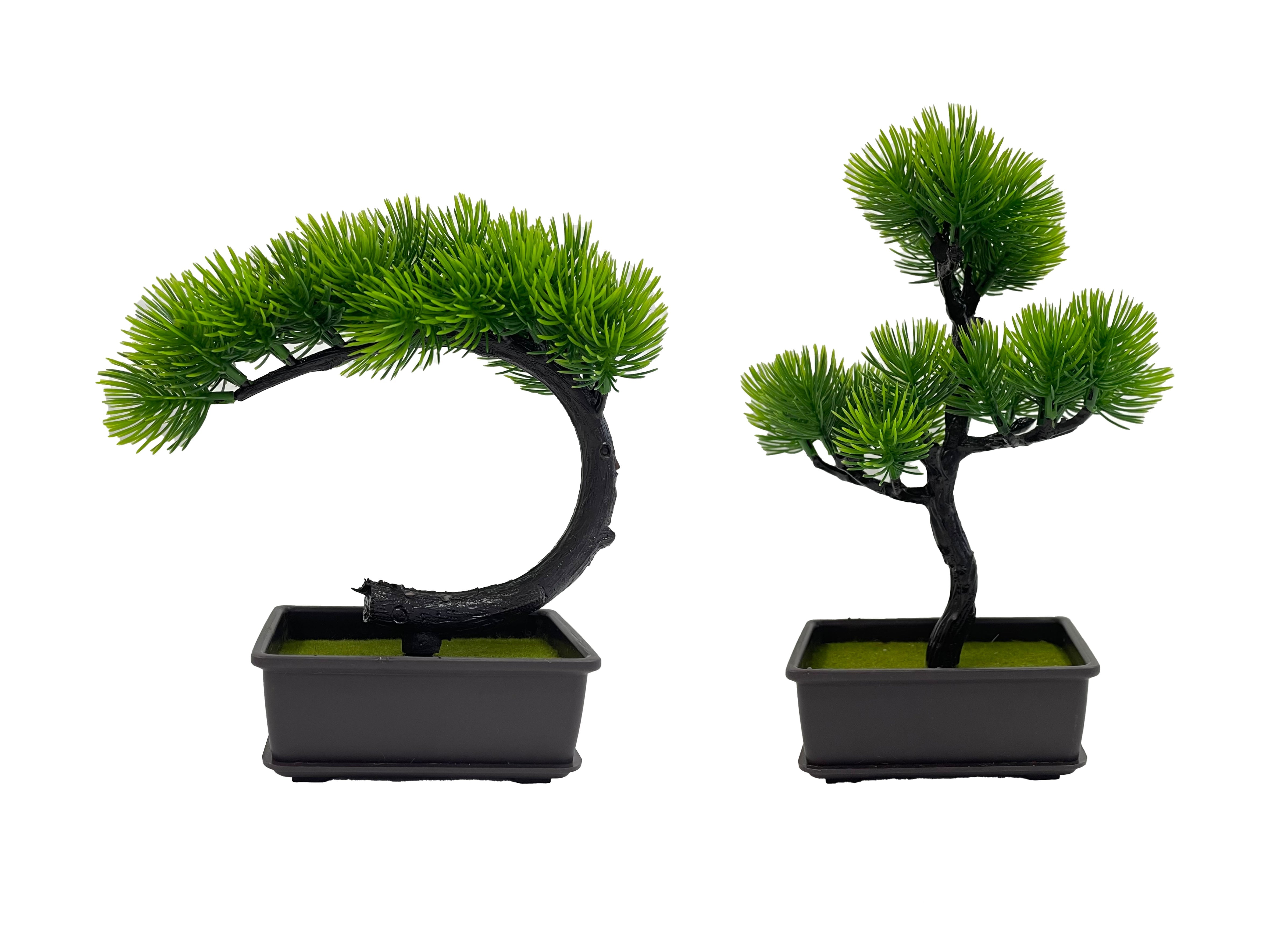 Bonsai
