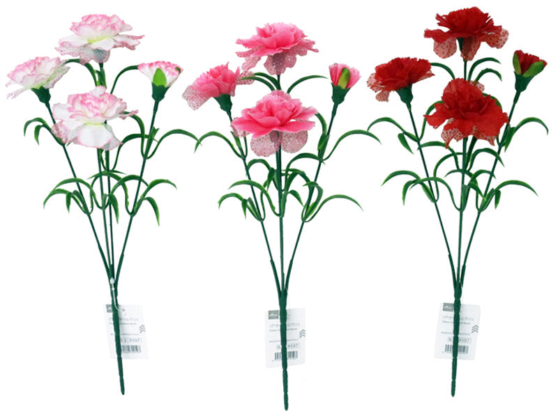 Sheer Carnation Bush