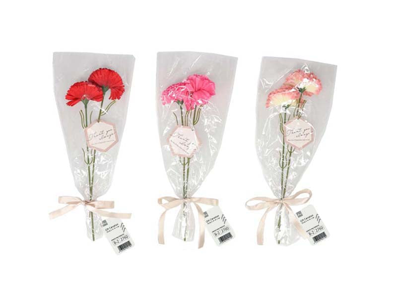 Gift Carnation
