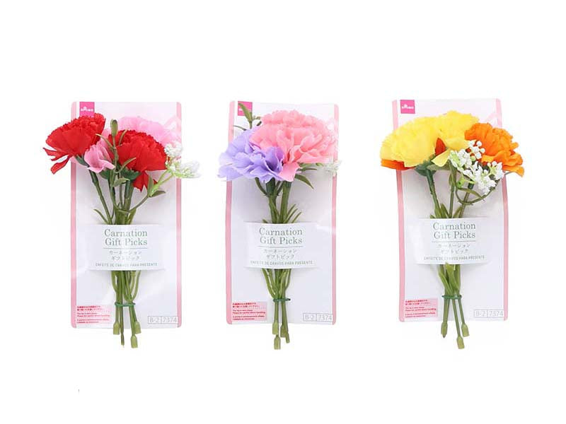Carnation Gift Pick