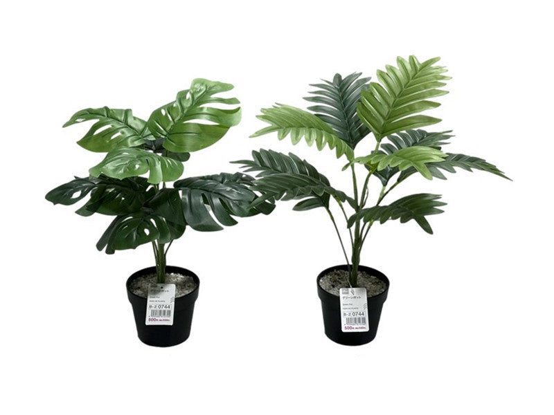 Green Pot