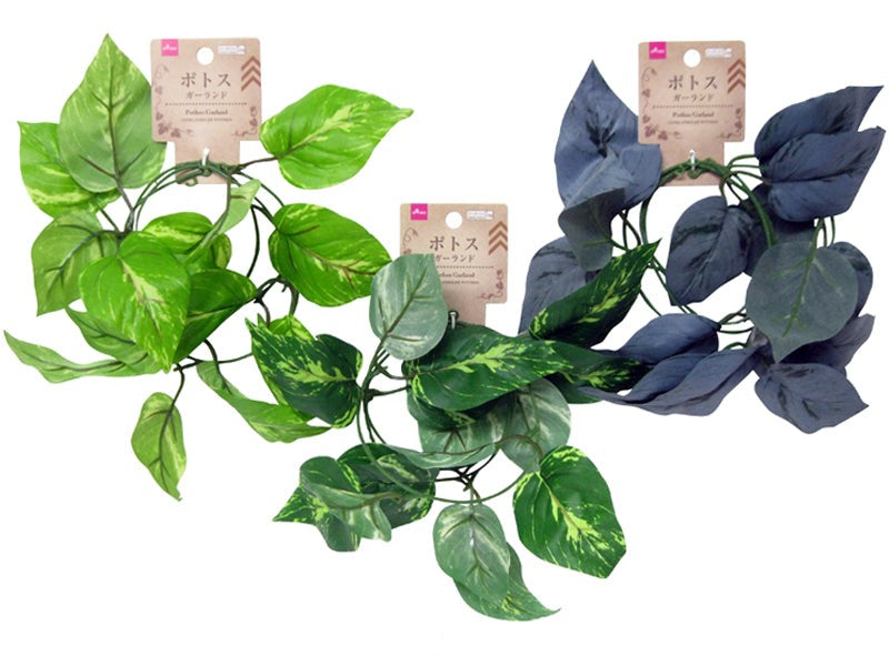 Pothos Garland