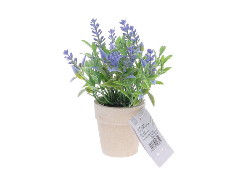 Natural Lavender Pot