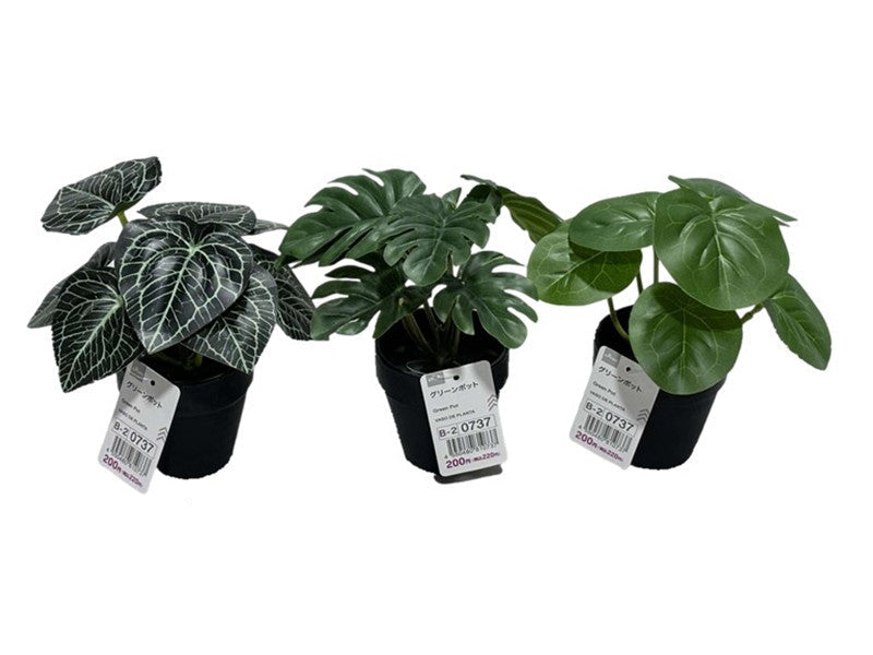Green Pot