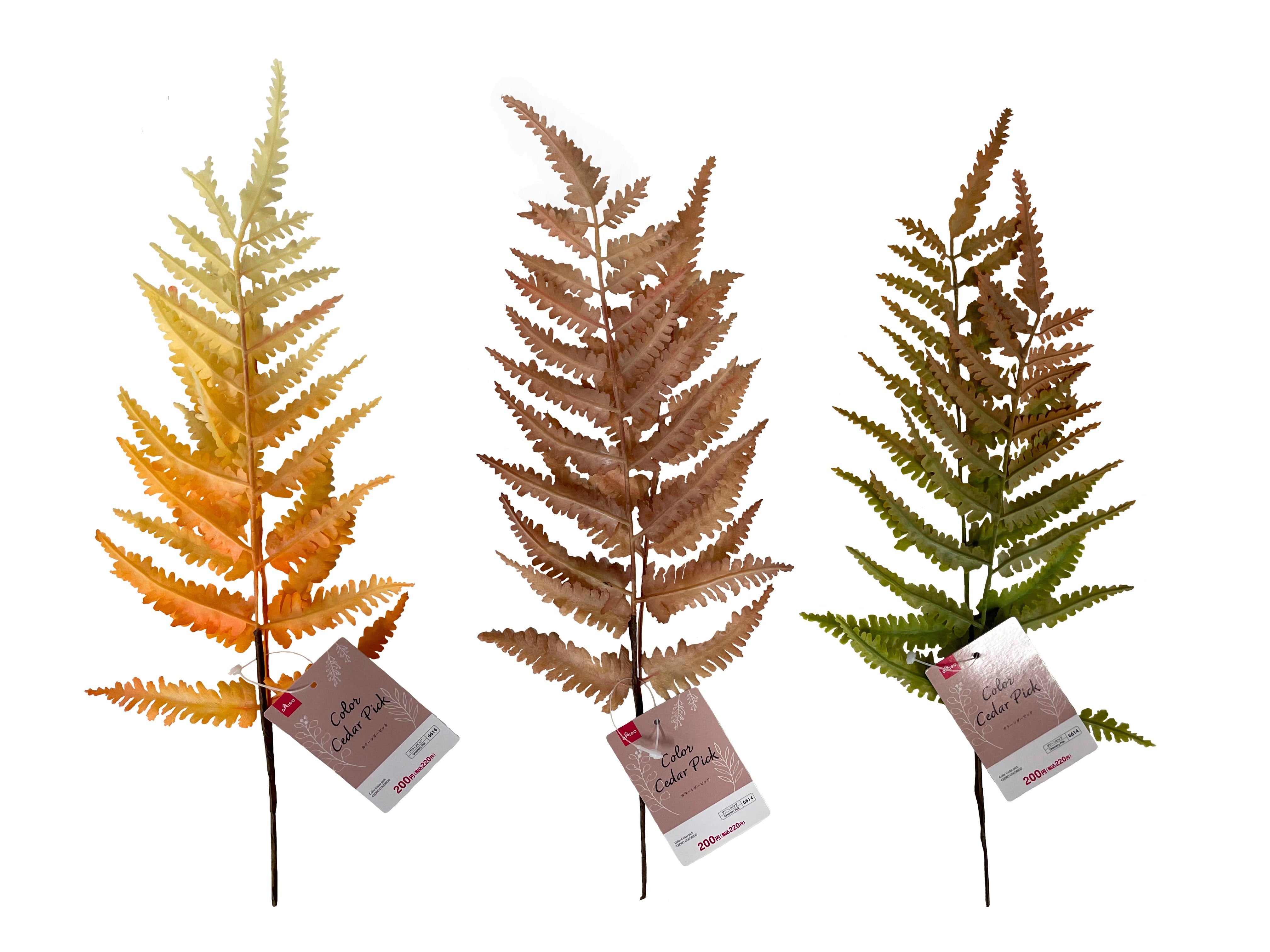Color Cedar Pick
