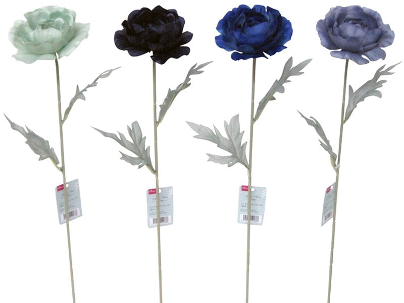 Single Ranunculus (Harmony)