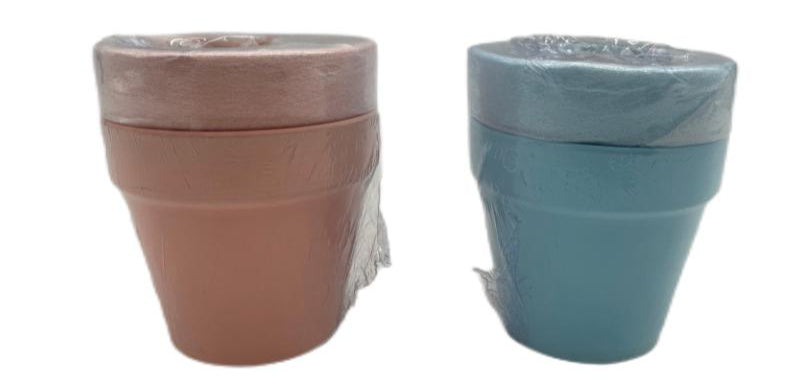 Terracotta Plant Pot (Set of 2)
