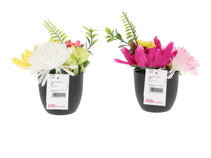 Memorial Pot (Chrysanthemum)