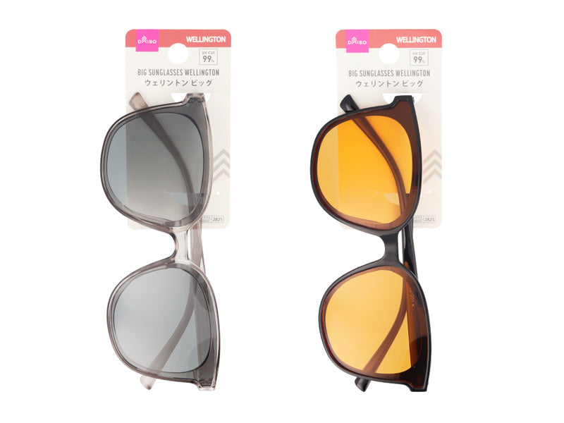 Fashion Sunglasses (Wellington, Big)