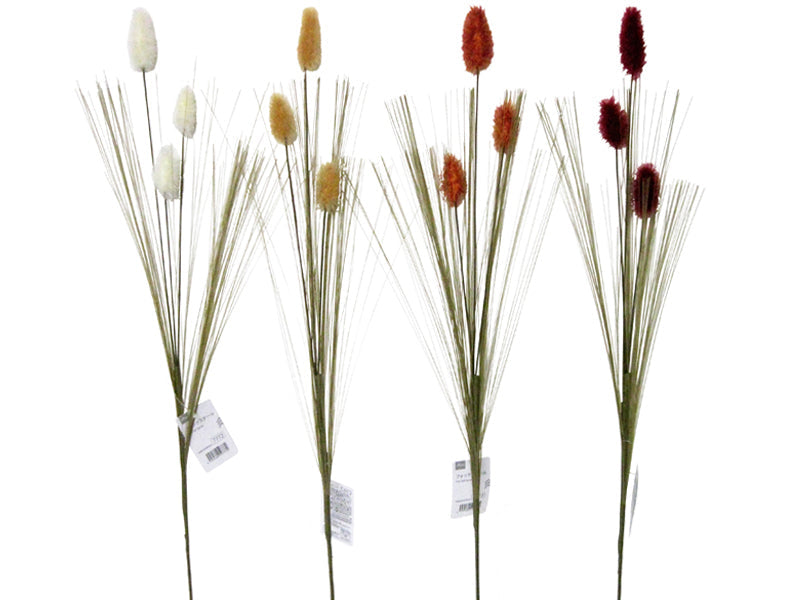 Foxtail