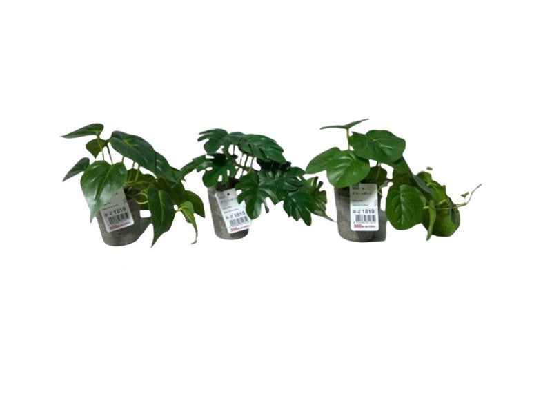 Green Pot
