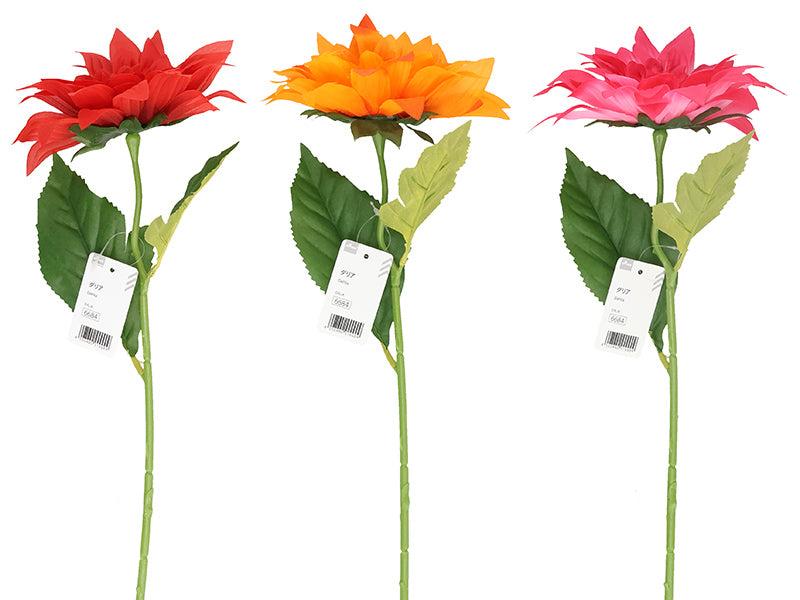 Dahlia