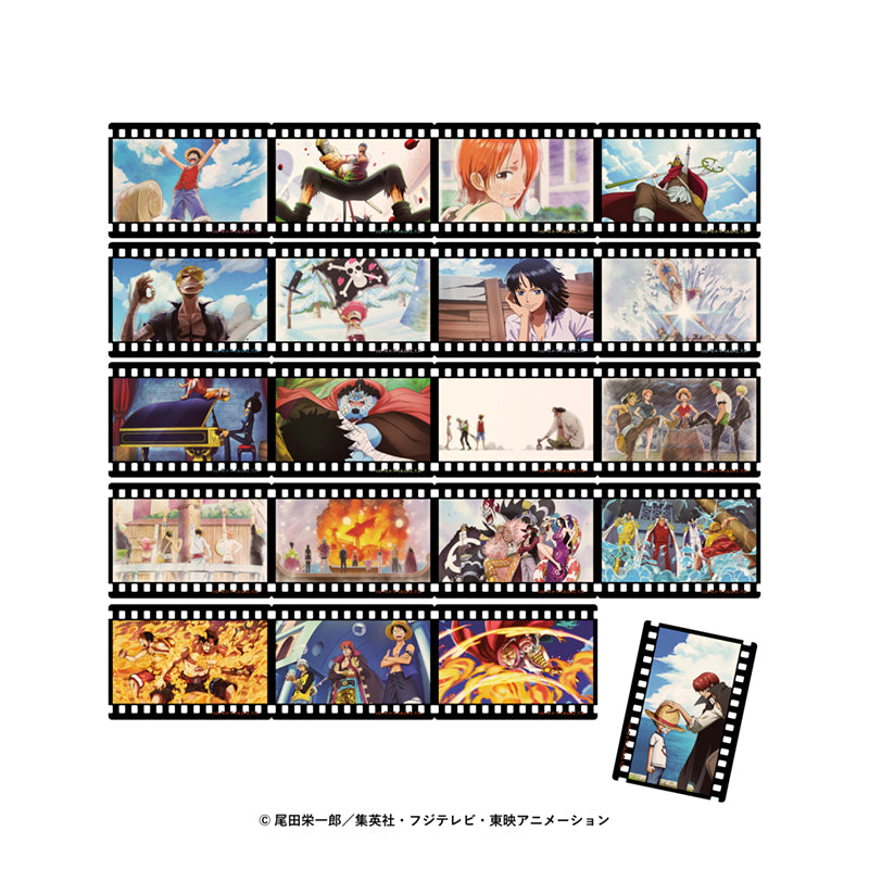 Collection Clear Card (ONE PIECE)