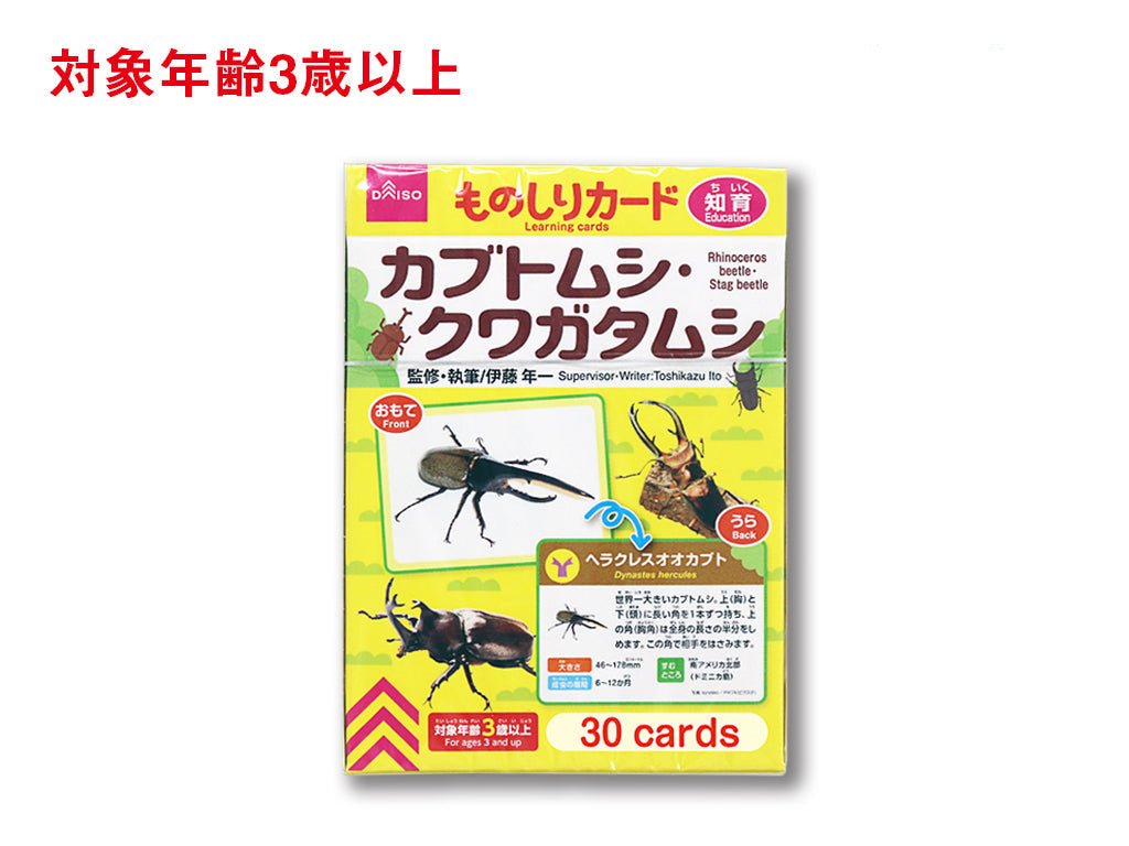 Knowledge Cards (Beetles)