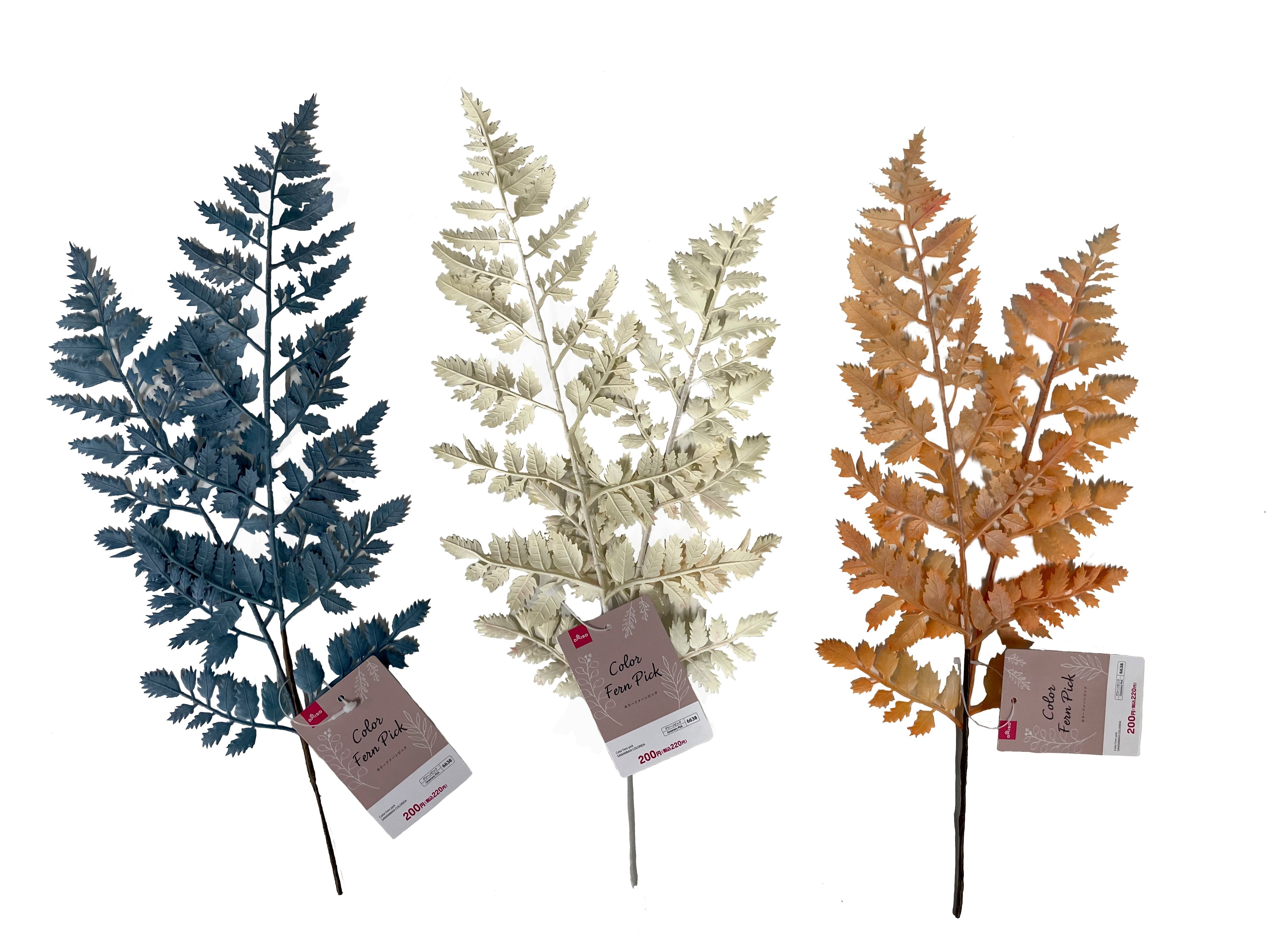 Color Fern Pick