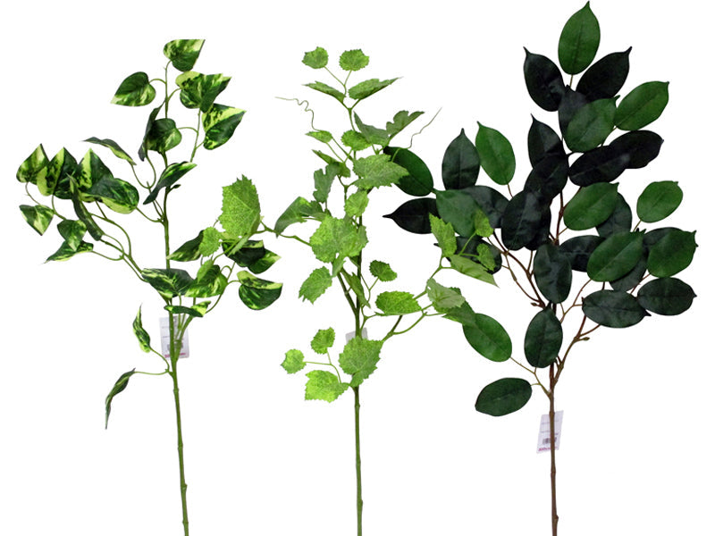 Green Spray Assortment