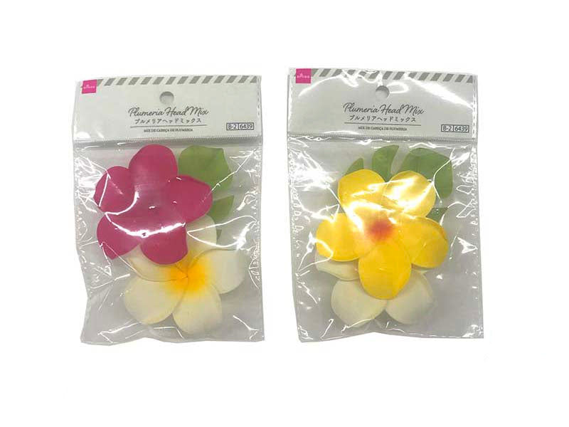 Plumeria Head Mix