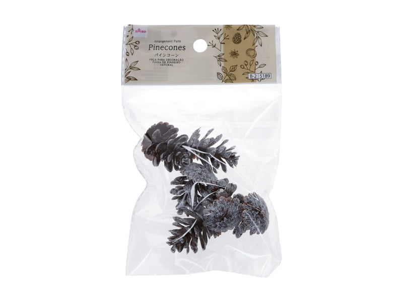 Arrangement Parts (Pine Cone, Natural)