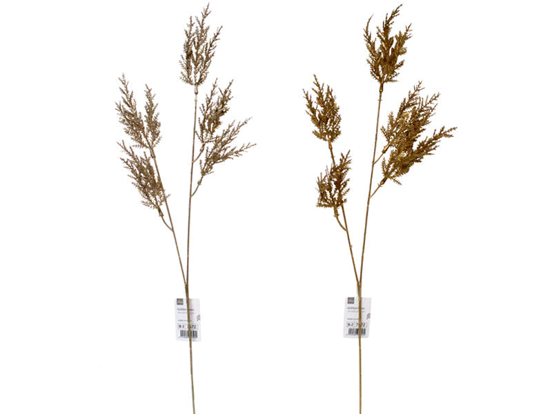 Golden Juniper
