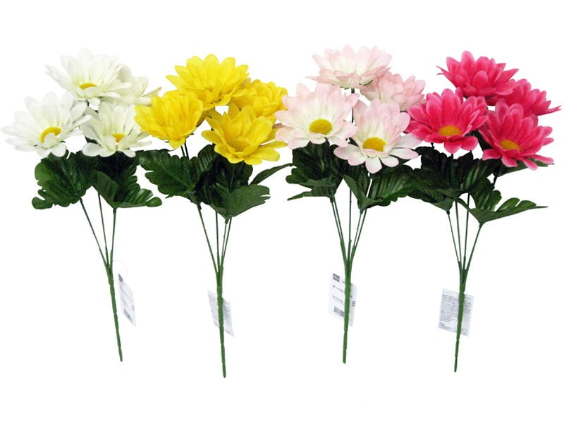 Gerbera Bush