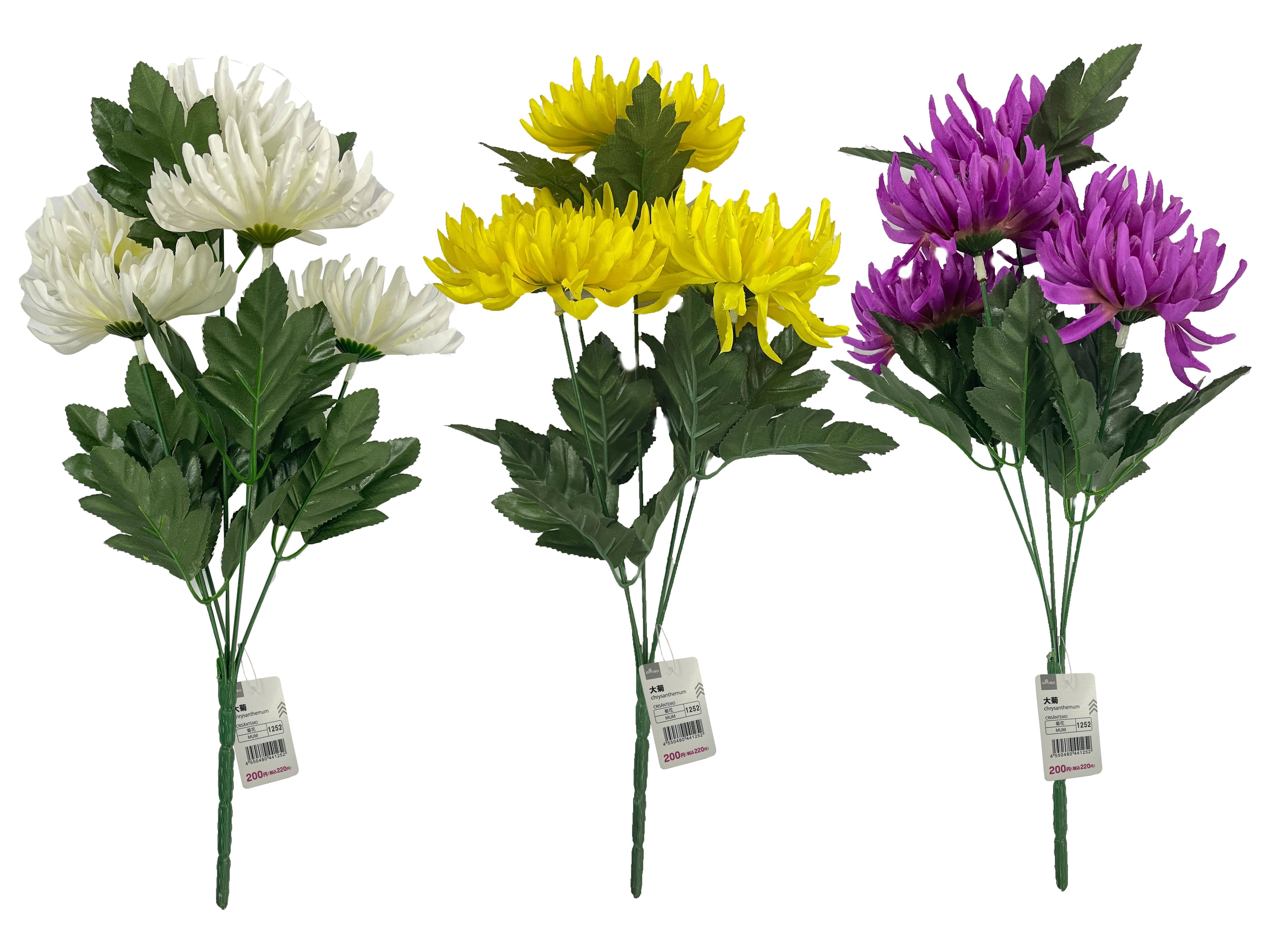 Large Chrysanthemum
