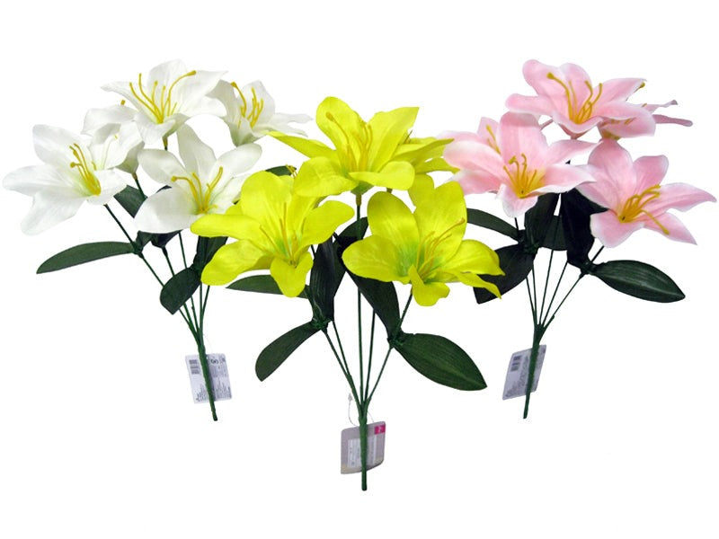 Lily Bush