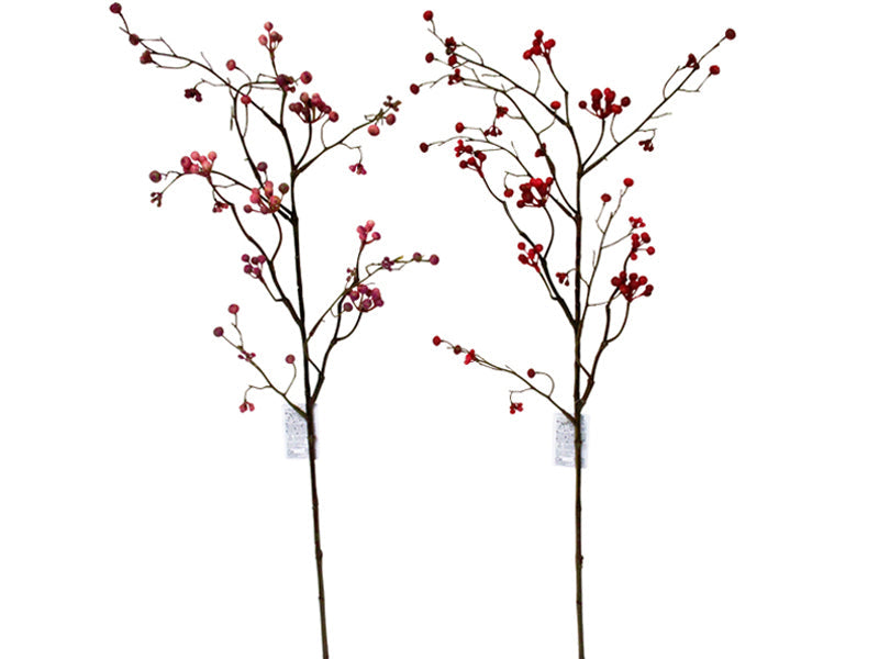Wild Rose Berries