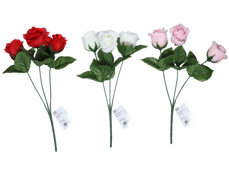 Rose Bush
