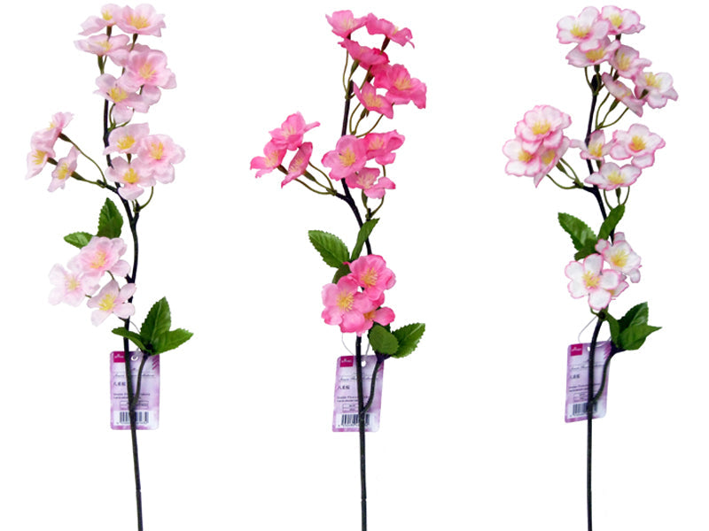 Double Cherry Blossom