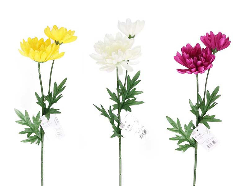 Chrysanthemum (Set of 2)