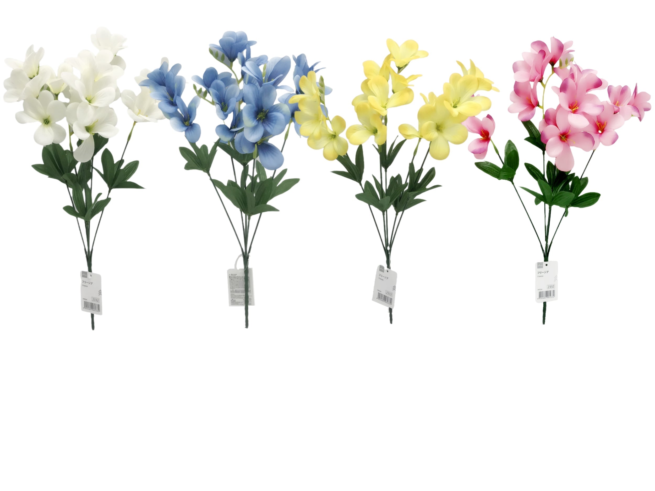 Freesia
